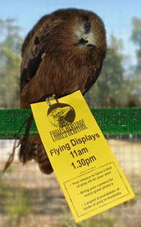 Eagles Heritage - Holiday Great Ocean Road 1