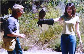 Eagles Heritage - Holiday Great Ocean Road 2