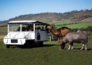 Zoo Doo Wildlife Park - Holiday Great Ocean Road 2