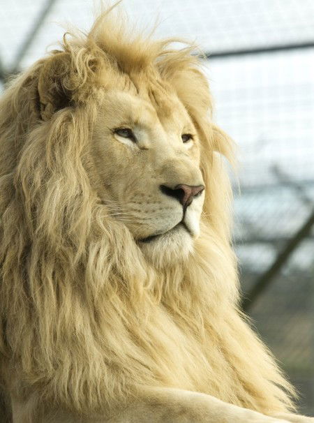 Zoo Doo Wildlife Park - Holiday Great Ocean Road 3