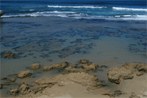 Canberra Contemporary Art Space - Holiday Great Ocean Road