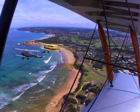 Tiger Moth World Adventure Park - Holiday Great Ocean Road 1