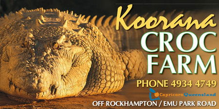 Koorana Saltwater Crocodile Farm - Holiday Great Ocean Road 0
