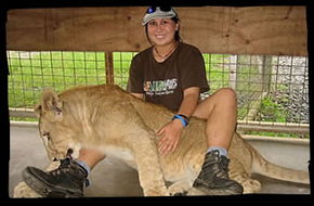 Cairns Wildlife Safari Reserve - Holiday Great Ocean Road 1