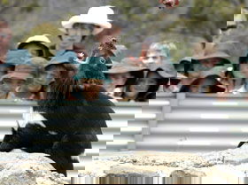 Tasmania Zoo - Holiday Great Ocean Road 0