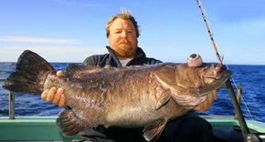 Bravo Fishing Charters - Holiday Great Ocean Road 0