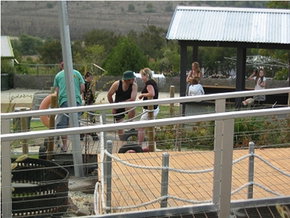 High Country - Holiday Great Ocean Road 0