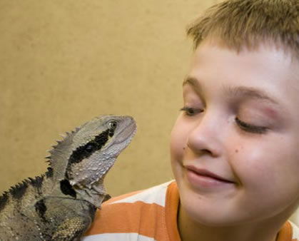 Geckoes Wildlife Presentations - Holiday Great Ocean Road 2