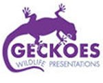 Geckoes Wildlife Presentations - Holiday Great Ocean Road 3
