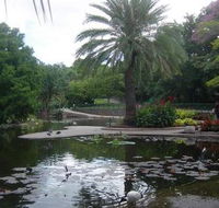 Brisbane City Botanic Gardens - Holiday Great Ocean Road