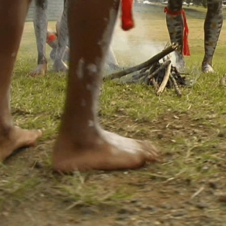 Musgrave Park Cultural Centre - Holiday Great Ocean Road 1