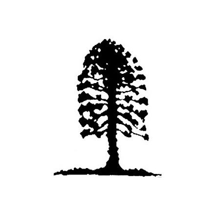 Musgrave Park Cultural Centre - Holiday Great Ocean Road 2