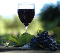 Lion Mill Vineyards - Holiday Great Ocean Road 0