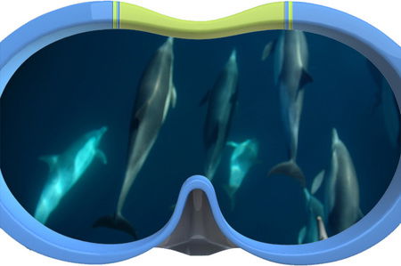 Dolphin Swim Australia - Holiday Great Ocean Road 3