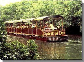Daintree Rainforest River Trains - Holiday Great Ocean Road 0