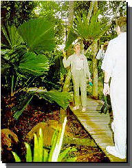 Daintree Rainforest River Trains - Holiday Great Ocean Road 1