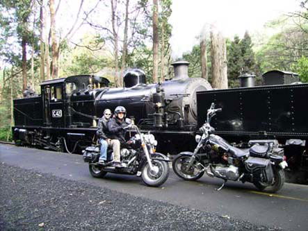 Andy's Harley Rides - Holiday Great Ocean Road 0