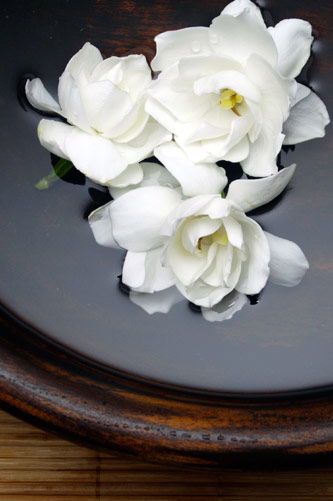 Temple Skincare - Holiday Great Ocean Road 2