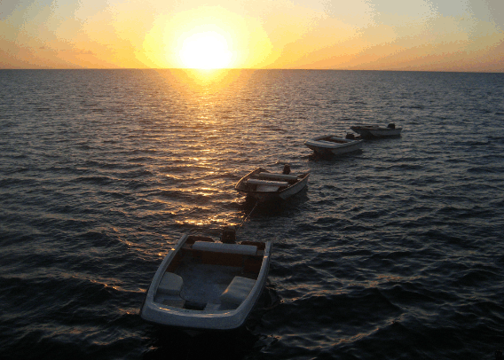Carlo Fishing Charters - Holiday Great Ocean Road 2