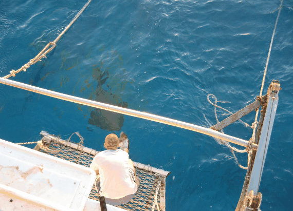 Carlo Fishing Charters - Holiday Great Ocean Road 4
