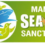 Manly SEA LIFE Sanctuary - Holiday Great Ocean Road