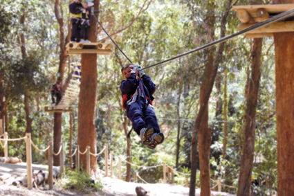 Currumbin Wildlife Sanctuary - Holiday Great Ocean Road 11
