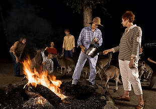 Cairns Night Zoo - Holiday Great Ocean Road 0