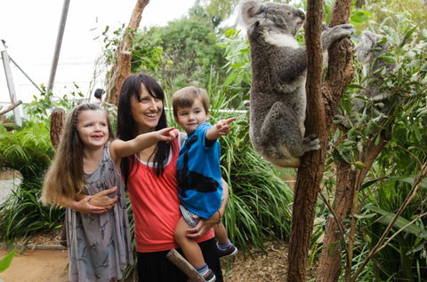 WILD LIFE Sydney Zoo - Holiday Great Ocean Road 3