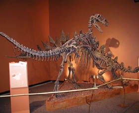 Denmark Dinosaur World - Holiday Great Ocean Road 0