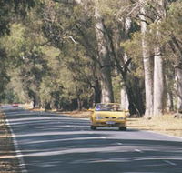 Ludlow Tuart Forest - Holiday Great Ocean Road