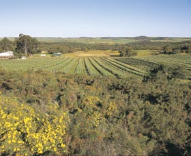 Chapman Valley Scenic Drive - Holiday Great Ocean Road 0