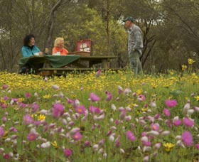Gwambygine Park - Holiday Great Ocean Road 0