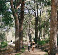 Law Trail and Lotterywest Federation Walkway Kings Park - Holiday Great Ocean Road