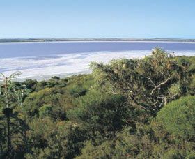 Pink Lake - Holiday Great Ocean Road 0
