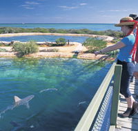 Shark Bay Marine Park - Holiday Great Ocean Road
