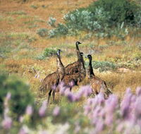 Jurabi Coastal Reserve - Holiday Great Ocean Road