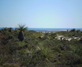 Lesueur National Park - Holiday Great Ocean Road 0