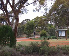 Gribble Creek Walk And Cycle Way - Holiday Great Ocean Road 0