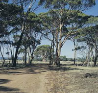 Lake Dumbleyung - Holiday Great Ocean Road