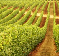 Xanadu Wines - Holiday Great Ocean Road