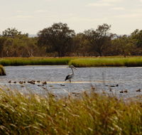 Anytime Adventures in Mandurah  the Peel Region - Holiday Great Ocean Road