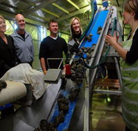 Eyre Peninsula's Seafood Trail - Holiday Great Ocean Road