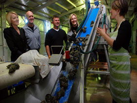 Eyre Peninsula's Seafood Trail - Holiday Great Ocean Road 0