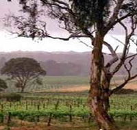 Yangarra Estate Vineyard - Holiday Great Ocean Road