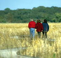 Onkaparinga River Recreation Park - Holiday Great Ocean Road