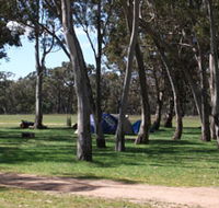 Black Cockatoo Bush Camp - Holiday Great Ocean Road