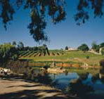 Mount Hurtle Winery home of Geoff Merrill Wines - Holiday Great Ocean Road