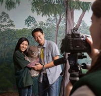 Cleland Wildlife Park - Holiday Great Ocean Road