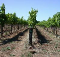 Temple Bruer Winery - Holiday Great Ocean Road