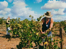 Torbreck Vintners - Holiday Great Ocean Road 0
